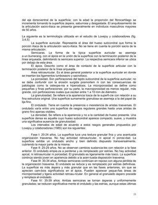 33
del eje dorsoventral de la superficie; con la edad la proporción del fibrocartílago se
incrementa tornando la superficie áspera, saburrosa y desgastada. El anquilosamiento de
la articulación sacro-ilíaca se presenta generalmente en individuos masculinos mayores
de 50 años.
La siguiente es la terminología utilizada en el estudio de Lovejoy y colaboradores (fig.
3,4,5):
La superficie auricular. Representa el área del hueso subcondral que forma la
porción ilíaca de la articulación sacro-ilíaca. No se tiene en cuenta la porción sacra de la
misma articulación.
Semicaras. La forma de la típica superficie auricular se asemeja
a un bumerang, con el ápice en la unión de la superficie con la terminación posterior de la
línea arqueada, delimitando la semicara superior. La respectiva semicara inferior se ubica
por debajo de esta área.
El ápice. Descrito como el área de contacto de la superficie articular con la
terminación posterior de la línea arqueada.
Area retroauricular. Es el área general posterior a la superficie auricular en donde
se insertan los ligamentos lumbosacro y sacroilíaco.
La porosidad. Son perforaciones del tejido subcondral de la superficie auricular; no
se debe confundir con la erosión surgida posmortem ni con las consecuencias de
patologías como la osteope-nia e hiperostosis. La microporosidad se define como
pequeñas y finas perforaciones; por su parte, la macroporosidad es menos regular, más
grande, con perforaciones ovales que oscilan entre 1 a 10 mm de diámetro.
La granulosidad. Se refiere a la apariencia tosca de la superfi-cie con relación a su
fina estructura original. Una superficie sumamente granulosa se asemeja a la del papel de
lija fino.
El ondulado. Tiene en cuenta la presencia o inexistencia de aristas trasversas. El
ondulado varía entre una superficie de rasgos regulares grandes hasta unas aristas de
grano fino apenas visibles.
La densidad. Se refiere a la apariencia y no a la cantidad de hueso presente. Una
superficie densa es aquella cuyo hueso subcondral aparece compacto, suave, y muestra
una significativa ausencia de granulosidad.
Los intervalos de edad de acuerdo a estos rasgos generales propuestos por
Lovejoy y colaboradores (1985) son los siguientes:
Fase I: 20-24 años. La superficie luce una textura granular fina y una acentuada
organización trasversa. No hay actividad retroauricular, ni apical ni porosi-dad. La
superficie exhibe un ondulado ancho y bien definido dispuesto transversalmente,
cubriendo la mayor parte de la misma.
Fase II: 25-29 años. No se observan cambios sustancia-les con relación a la fase
anterior. El ondulado empie-za a perderse y es remplazado por estrías. No hay actividad
apical, ni retroauricular ni porosidad. El granulado es ligeramente más tosco. La superficie
continúa siendo joven en apariencia debido a la acen-tuada disposición trasversa.
Fase III: 30-34 años. Ambas semicaras continúan en reposo con alguna pérdida de
la organización trasversa. El ondulado se reduce y es remplazado por estrías definitivas.
La superficie es más áspera y más granular que en las fases anteriores, sin que se
aprecien cam-bios significativos en el ápice. Pueden aparecer peque-ñas áreas de
microporosidad y ligera actividad retroau-ricular. En general el granulado áspero precede
y remplaza al ondulado.
Fase IV: 35-39 años. Ambas semicaras se tornan ásperas y uniformemente
granuladas; se reducen significativa-mente el ondulado y las estrías, aunque estas últimas
 