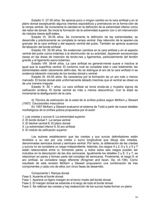 36
Estadio V: 27-30 años. Se aprecia poco o ningún cambio en la cara sinfisial y en el
plano dorsal exceptuando algunos intentos esporádicos y prematuros en la forma-ción de
la rampa ventral. Se incrementa la claridad en la definición de la extremidad inferior como
del rebor-de dorsal. Se inicia la formación de la extremidad superior con o sin intervención
de nódulos óseos epifi-siales.
Estadio VI: 30-35 años. Se incrementa la definición de las extremidades; se
desarrolla y prácticamente se completa la rampa ventral. Hay retención de la aparien-cia
granular de la cara sinfisial y del aspecto ventral del pubis. También se aprecia ausencia
de labiación del borde sinfisial.
Estadio VII: 35-39 años. Se evidencian cambios en la cara sinfisial y en el aspecto
ventral del pubis conco-mitantes a la disminución de su actividad. Aparecen excrecencias
óseas en las áreas de inserción de tendo-nes y ligamentos, particularmente del tendón
gracilis y el ligamento sacro-tuberoso.
Estadio VIII: 39-44 años. La cara sinfisial es general-mente suave e inactiva al
igual que la superficie ventral. El contorno oval se completa total o casi totalmente; las
extremidades están claramente defini-das. No se distingue el aro de la cara sinfisial ni se
evidencia labiación marcada de los bordes dorsal y ventral.
Estadio IX: 45-50 años. Se caracteriza por la formación de un aro más o menos
marcado. El borde dorsal está uniformemente labiado mientras que el ventral se obser-va
de una manera irregular.
Estadio X: 50 + años. La cara sinfisial se torna eroda-da y muestra signos de
osificación errática. El borde ventral es más o menos descontinuo. Con la edad se
incrementa la desfiguración de la cara.
b) Técnica de estimación de la edad de la sínfisis púbica según McKern y Stewart
(1957). Caucasoides masculinos
En 1957 McKern y Stewart evaluaron el sistema de Todd a partir de nueve detalles
morfológicos de la sínfisis púbica propuestos por el autor:
1. Las crestas y surcos 6. La extremidad superior
2. El borde dorsal 7. La rampa ventral
3. El declive ventral 8. El plano dorsal
4. La extremidad inferior 9. El aro sinfisial
5. El nódulo de osificación superior
Los autores establecieron que las crestas y sus surcos delimitadores están
divididos a su vez por una cresta o surco longitudinal que dibuja dos mitades,
denominadas semicara dorsal y semicara ventral. Por tanto, la obliteración de las crestas
y surcos no se considera un rasgo independiente. Además, los rasgos 4 y 2, 6 y 3, y 5 y 7
están relacionados entre sí, formando pares, y todos estos seis rasgos pueden ser
incluidos en la descripción de las dos semicaras. Igualmente los detalles 2 y 8, 3 y 7, se
relacionan en pares y forman parte del complejo de semicaras. Finalmente, el rasgo 9, el
aro sinfisial, se considera rasgo diferente (Krogman and Iscan, Op. cit.:156). Como
resultado de esta revisión McKern y Stewart propusieron una combinación de tres
componentes y cada uno de ellos con cinco fases de desarrollo.
Componente I. Rampa dorsal
Fase 0. Ausente el borde dorsal.
Fase 1. Aparece un ligero margen en el tercio medio del borde dorsal.
Fase 2. El margen dorsal se extiende a lo largo de todo el borde dorsal.
Fase 3. Se rellenan las crestas y hay reabsorción de los surcos hasta formar un plano
 