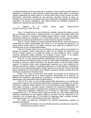 40
un papel importante: entre más amplia sea la superficie, mayor apariencia juvenil tendrá el
espécimen; al contrario el pubis pequeño y grácil aparentará mayor edad. Los primeros
cambios degenerati-vos toman lugar en el borde dorsal siendo quizá el área de mayor
información, relacionada además por los cam-bios ocurridos durante el parto. La
formación de hoyue-los en la superficie del hueso puede estar acompañada de porosidad
extendida o de erosión osteopénica; este último proceso se manifiesta solamente en
mujeres con osteoporosis posmenopáusica.
e. Estadios de la sínfisis púbica según Suchey-Brooks
(Brooks and Suchey, 1990: 232-233)
Fase I. La superficie de la cara sinfisial es ondulada, cubierta de crestas y surcos
que se extienden hasta incluir el tubérculo púbico. Las crestas horizontales están bien
definidas y comienza a formarse el biselado (ángulo oblicuo) ventral. Aunque pueden
presentarse nódulos de osificación en la extremidad superior, la clave para diferenciar
esta fase es la ausencia de delimitación en ambos extremos (superior e inferior).
Fase II. La cara sinfisial aún puede presentar desarro-llo de crestas. Comienza la
delimitación de ambas extremidades que ocurre con o sin nódulos de osifica-ción. La
rampa ventral puede estar en sus fases inicia-les como parte de la extensión de la
actividad ósea en una o ambas extremidades.
Fase III. El borde inferior de la cara sinfisial y la rampa ventral se encuentran en
proceso de acabado. Puede continuarse la fusión de los nódulos de osifica-ción que
forman el borde superior y a lo largo del ventral. La cara sinfisial es suave o puede
continuar exhibiendo crestas definidas. Se completa el plano dorsal, no se observa
labiación del borde dorsal sinfi-sial ni excrecencias ligamentosas óseas.
Fase IV. La cara sinfisial presenta habitualmente una granulosidad fina aunque
persisten residuos de antiguas crestas y surcos. En este estadio usualmente se comple-ta
el contorno oval pero puede observarse una disconti-nuidad a nivel del borde ventral
superior. El tubérculo púbico está completamente separado de la cara sinfisial por la
definición del extremo superior; la superficie puede tener un borde definido. Ventralmente
las excre-cencias ligamentosas óseas pueden aparecer en la por-ción inferior del hueso
púbico adyacente a la cara sinfisial. Si se llegase a presentar indicios de labia-ción este
será ligero y localizado en el borde dorsal.
Fase V: 30 + años. El borde de la cara sinfisial se completa con la existencia de
algunas ligeras depresio-nes de la misma superficie, relacionadas con el rebor-de. La
labiación es moderada y generalmente se localiza en el borde dorsal con excrecencias
ligamentosas más prominentes sobre el borde ventral.
Fase VI: 40 + años. La cara sinfisial puede exhibir depresiones en la medida que
se erosiona el reborde. Las inserciones ligamentosas ventrales son marcadas. En muchos
individuos el tubérculo púbico aparece como una protuberancia ósea independiente. La
cara puede cavi-tarse o tornarse porosa, brindando una apariencia desfigurada con
procesos de osificación errática. El aspecto de la superficie es con frecuencia irregular.
Estas fases diseñadas inicialmente por S. Brooks en 1955 fueron modificadas
posteriormente por J. M. Suchey sobre la base del estudio de 1 225 huesos púbicos de
individuos autopsiados en Los Angeles, California; de ellos 739 eran masculinos y 273
femeninos, con una edad entre 14 a 99 años, de diferentes razas y estratos sociales,
recolectados entre 1977 y 1979 (Brooks and Suchey, 1990:228).
En calidad de referencia orientadora los autores mencionados sugieren la
siguiente guía general:
1. La existencia de crestas y surcos profundos expresa una edad para masculinos
y femeninos de 24 años ó menos.
 