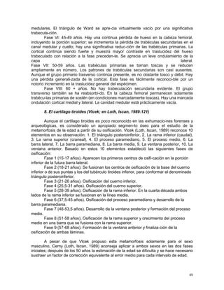 48
medulares. El triángulo de Ward se apre-cia virtualmente vacío por una significativa
trabecula-ción.
Fase VI: 45-49 años. Hay una continua pérdida de hueso en la cabeza femoral,
incluyendo la porción superior; se incrementa la pérdida de trabéculas secundarias en el
canal medular y cuello; hay una significativa reduc-ción de las trabéculas primarias. La
cortical continúa siendo fuerte y muestra mayor contraste en traslucidez del hueso
trabeculado con relación a la fase preceden-te. Se aprecia un leve ondulamiento de la
capa lateral.
Fase VII: 50-59 años. Las trabéculas primarias se tornan toscas y se reducen
ampliamente en número. Los patrones de trabéculas secundarias son casi ausentes.
Aunque el grupo primario trasverso continúa presente, es no obstante tosco y débil. Hay
una pérdida generali-zada de la cortical. Esta fase es fácilmente reconoci-ble por un
notorio incremento en la traslucidez general del espécimen.
Fase VIII: 60 + años. No hay trabeculación secundaria evidente. El grupo
transverso también se ha reabsorbi-do. En la cabeza femoral permanecen solamente
trabécu-las primarias de sostén (en condiciones marcadamente toscas). Hay una marcada
ondulación cortical medial y lateral. La cavidad medular está prácticamente vacía.
8. El cartílago tiroides (Vlcek; en Loth, Iscan, 1989:121)
Aunque el cartílago tiroides es poco reconocido en las exhumacio-nes forenses y
arqueológicas, es considerado un apropiado segmen-to óseo para el estudio de la
metamorfosis de la edad a partir de su osificación. Vlcek (Loth, Iscan, 1989) reconoce 10
elementos en su observación: 1. El triángulo posteroinferior, 2. La rama inferior (caudal),
3. La rama superior (craneal), 4. El proceso paramediano, 5. El proceso medio, 6. La
barra lateral, 7. La barra paramediana, 8. La barra media, 9. La ventana posterior, 10. La
ventana anterior. Basado en estos 10 elementos estableció las siguientes fases de
osificación:
Fase 1 (15-17 años). Aparecen los primeros centros de osifi-cación en la porción
inferior de la futura barra lateral.
Fase 2 (18-21 años). Se fusionan los centros de osificación de la base del cuerno
inferior o de sus puntas y los del tubérculo tiroides inferior, para conformar el denominado
triángulo posteroinferior.
Fase 3 (21-26 años). Osificación del cuerno inferior.
Fase 4 (25,5-31 años). Osificación del cuerno superior.
Fase 5 (28-39 años). Osificación de la rama inferior. En la cuarta década ambos
lados de la rama inferior se fusionan en la línea media.
Fase 6 (37,5-45 años). Osificación del proceso paramediano y desarrollo de la
barra paramediana.
Fase 7 (48-53,5 años). Desarrollo de la ventana posterior y formación del proceso
medio.
Fase 8 (51-58 años). Osificación de la rama superior y crecimiento del proceso
medio en una barra que se fusiona con la rama superior.
Fase 9 (57-68 años). Formación de la ventana anterior y finaliza-ción de la
osificación de ambas láminas.
A pesar de que Vlcek propuso esta metamorfosis solamente para el sexo
masculino, Cerny (Loth, Iscan, 1989) aconseja aplicar a ambos sexos en las dos fases
iniciales; después de los 50 años la estimación de la edad se dificulta y se hace necesario
sustraer un factor de corrección equivalente al error medio para cada intervalo de edad.
 