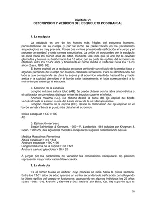 70
Capítulo VI
DESCRIPCION Y MEDICION DEL ESQUELETO POSCRANEAL
1. La escápula
La escápula es uno de los huesos más frágiles del esqueleto humano,
particularmente en su cuerpo, y por tal razón su preser-vación en los yacimientos
arqueológicos es muy precaria. Posee dos centros primarios de osificación (el cuerpo y el
proceso coracoideo) y siete centros secundarios. La unión del coracoideo con la escápula
se inicia hacia los quince años de edad, mediante una línea que lo une con la cavidad
glenoidea y termina su fusión hacia los 18 años; por su parte las epífisis del acromion se
obliteran entre los 16-22 años y finalmente el borde medial o vertebral hacia los 17-23
años (Bass, 1986: 93).
El borde espinal de la escápula se puede confundir con el labio de la cresta ilíaca y
algunas porciones del cuerpo con huesos craneales inmaduros. Para la identificación del
lado a que corresponde se ubica la espina y el acromion orientada hacia atrás y hacia
arriba y la cavidad glenoidea y el borde axilar lateralmente; el lado corresponderá a la
mano en que sostenga la escápula.
a. Medición de la escápula
Longitud máxima (altura total) (AB). Se puede obtener con la tabla osteométrica o
el calibrador de corredera; distinguir entre los ángulos superior e inferior.
Anchura máxima (CD). Se obtiene desde la punta del eje espinal del borde
vertebral hasta la porción media del borde dorsal de la cavidad glenoidea.
Longitud máxima de la espina (DE). Desde la terminación del eje espinal en el
borde vertebral hasta el punto más distal en el acromion.
Indice escapular = CD x 100
AB
b. Estimación del sexo
Según Bainbridge & Genovés, 1959 y P. Lordanidis 1961 (citados por Krogman &
Iscan, 1986:227) las siguientes medidas escapulares sugieren determinación sexual.
Medida Masculinos Femeninos
Altura escapular >149 <144
Anchura escapular >100 < 96
Longitud máxima de la espina >133 <128
Anchura cavidad glenoidea > 28 < 26
A juzgar por los parámetros de variación las dimensiones escapulares no parecen
representar mayor valor racial diferencia-dor.
2. La clavícula
Es el primer hueso en osificar, cuyo proceso se inicia hacia la quinta semana.
Entre los 12-21 años de edad aparece un centro secundario de osificación, constituyendo
la última epífisis del cuerpo en fusionarse, alcanzando en algunos individuos los 25 años
(Bass 1986: 101). Mckern y Stewart (1957; citados por Bass, Op. cit) sugieren que la
 