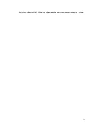 75
Longitud máxima (CD). Distancia máxima entre las extremidades proximal y distal.
 