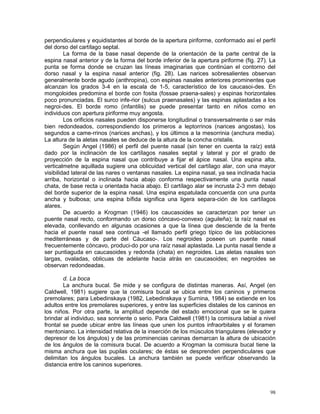 98
perpendiculares y equidistantes al borde de la apertura piriforme, conformado así el perfil
del dorso del cartílago septal.
La forma de la base nasal depende de la orientación de la parte central de la
espina nasal anterior y de la forma del borde inferior de la apertura piriforme (fig. 27). La
punta se forma donde se cruzan las líneas imaginarias que continúan el contorno del
dorso nasal y la espina nasal anterior (fig. 28). Las narices sobresalientes observan
generalmente borde agudo (anthropina), con espinas nasales anteriores prominentes que
alcanzan los grados 3-4 en la escala de 1-5, característico de los caucasoi-des. En
mongoloides predomina el borde con fosita (fossae praena-sales) y espinas horizontales
poco pronunciadas. El surco infe-rior (sulcus praenasales) y las espinas aplastadas a los
negroi-des. El borde romo (infantilis) se puede presentar tanto en niños como en
individuos con apertura piriforme muy angosta.
Los orificios nasales pueden disponerse longitudinal o transversalmente o ser más
bien redondeados, correspondiendo los primeros a leptorrinos (narices angostas), los
segundos a came-rrinos (narices anchas), y los últimos a la mesorrinia (anchura media).
La altura de la aletas nasales se deduce de la altura de la concha cristalis.
Según Angel (1986) el perfil del puente nasal (sin tener en cuenta la raíz) está
dado por la inclinación de los cartílagos nasales septal y lateral y por el grado de
proyección de la espina nasal que contribuye a fijar el ápice nasal. Una espina alta,
verticalmetne aquillada sugiere una oblicuidad vertical del cartílago alar, con una mayor
visibilidad lateral de las nares o ventanas nasales. La espina nasal, ya sea inclinada hacia
arriba, horizontal o inclinada hacia abajo conforma respectivamente una punta nasal
chata, de base recta u orientada hacia abajo. El cartílago alar se incrusta 2-3 mm debajo
del borde superior de la espina nasal. Una espina espatulada concuerda con una punta
ancha y bulbosa; una espina bífida significa una ligera separa-ción de los cartílagos
alares.
De acuerdo a Krogman (1946) los caucasoides se caracterizan por tener un
puente nasal recto, conformando un dorso cóncavo-convexo (aguileña); la raíz nasal es
elevada, conllevando en algunas ocasiones a que la línea que desciende de la frente
hacia el puente nasal sea continua -el llamado perfil griego típico de las poblaciones
mediterráneas y de parte del Cáucaso-. Los negroides poseen un puente nasal
frecuentemente cóncavo, produci-do por una raíz nasal aplastada. La punta nasal tiende a
ser puntiaguda en caucasoides y redonda (chata) en negroides. Las aletas nasales son
largas, ovaladas, oblicuas de adelante hacia atrás en caucasoides; en negroides se
observan redondeadas.
d. La boca
La anchura bucal. Se mide y se configura de distintas maneras. Así, Angel (en
Caldwell, 1981) sugiere que la comisura bucal se ubica entre los caninos y primeros
premolares; para Lebedinskaya (1982, Lebedinskaya y Surnina, 1984) se extiende en los
adultos entre los premolares superiores, y entre las superficies distales de los caninos en
los niños. Por otra parte, la amplitud depende del estado emocional que se le quiera
brindar al individuo, sea sonriente o serio. Para Caldwell (1981) la comisura labial a nivel
frontal se puede ubicar entre las líneas que unen los puntos infraorbitales y el foramen
mentoniano. La intensidad relativa de la inserción de los músculos triangulares (elevador y
depresor de los ángulos) y de las prominencias caninas demarcan la altura de ubicación
de los ángulos de la comisura bucal. De acuerdo a Krogman la comisura bucal tiene la
misma anchura que las pupilas oculares; de éstas se desprenden perpendiculares que
delimitan los ángulos bucales. La anchura también se puede verificar observando la
distancia entre los caninos superiores.
 