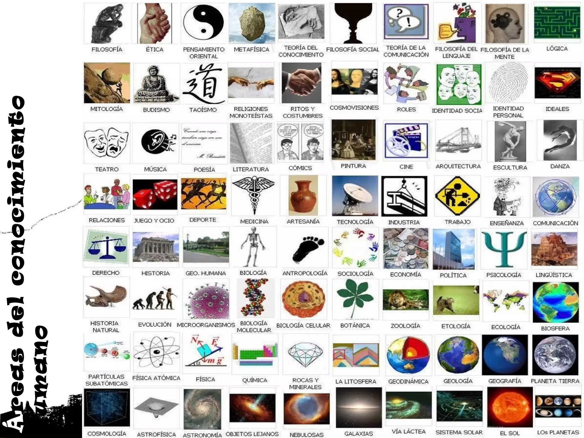 Áreas del conocimiento
humano
 