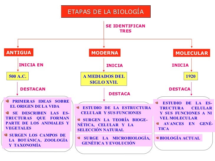 Introduccion a la biologia