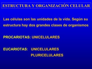 ESTRUCTURA Y ORGANIZACIÓN CELULAR Las células son las unidades de la vida. Según su estructura hay dos grandes clases de organismos PROCARIOTAS : UNICELULARES EUCARIOTAS :  UNICELULARES PLURICELULARES 