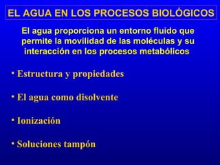 EL AGUA EN LOS PROCESOS BIOLÓGICOS El agua proporciona un entorno fluido que permite la movilidad de las moléculas y su interacción en los procesos metabólicos  Estructura y propiedades El agua como disolvente Ionización Soluciones tampón 