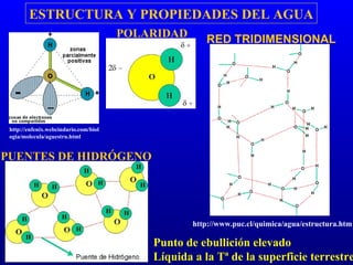 ESTRUCTURA Y PROPIEDADES DEL AGUA Punto de ebullición elevado Líquida a la Tª de la superficie terrestre http://enfenix.webcindario.com/biologia/molecula/aguestru.html PUENTES DE HIDRÓGENO POLARIDAD RED TRIDIMENSIONAL http://www.puc.cl/quimica/agua/estructura.htm 