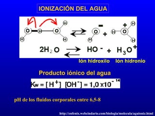 IONIZACIÓN DEL AGUA Ión hidroxilo  Ión hidronio Producto iónico del agua pH de los fluidos corporales entre 6,5-8 http://enfenix.webcindario.com/biologia/molecula/aguioniz.html 