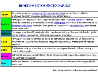 BIOELEMENTOS SECUNDARIOS http://www.arrakis.es/~lluengo/elementos.html 