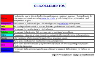 OLIGOELEMENTOS http://www.arrakis.es/~lluengo/elementos.html 