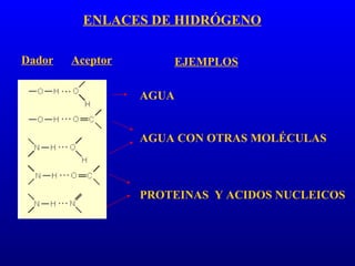 ENLACES DE HIDRÓGENO AGUA AGUA CON OTRAS MOLÉCULAS PROTEINAS  Y ACIDOS NUCLEICOS Dador   Aceptor EJEMPLOS 