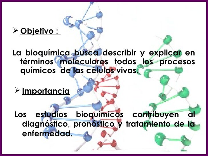 Objetivo De Estudio De La Bioquímica es.slideshare.net