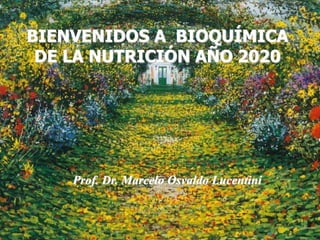 BIENVENIDOS A BIOQUÍMICA
DE LA NUTRICIÓN AÑO 2020
Prof. Dr. Marcelo Osvaldo Lucentini
 