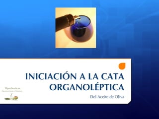 INICIACIÓN A LA CATA ORGANOLÉPTICA Del Aceite de Oliva 
