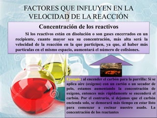Concentración de los reactivos
Si los reactivos están en disolución o son gases encerrados en un
recipiente, cuanto mayor sea su concentración, más alta será la
velocidad de la reacción en la que participen, ya que, al haber más
partículas en el mismo espacio, aumentará el número de colisiones.
FACTORES QUE INFLUYEN EN LA
VELOCIDAD DE LA REACCIÓN
Ejemplo: al encender el carbón para la parrilla: Si se
aplica aire (oxígeno) con un cartón o un secador de
pelo, estamos aumentando la concentración de
oxígeno, entonces más rápidamente se encenderá el
carbón. Por el contrario, si dejamos que el carbón
encienda solo, se demorará más tiempo en estar listo
para comenzar a cocinar nuestro asado. La
concentración de los reactantes
 