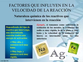 FACTORES QUE INFLUYEN EN LA
VELOCIDAD DE LA REACCIÓN
Naturaleza química de los reactivos que
intervienen en la reacción
Dependiendo del tipo de
reactivo que intervenga,
una determinada
reacción tendrá una
energía de activación:
Muy alta, y
entonces será muy
lenta.
Muy baja, y
entonces será muy
rápida.
Ejemplo, si tomamos como referencia la
oxidación de los metales, la oxidación del
sodio es muy rápida, la de la plata es muy
lenta y la velocidad de la oxidación del
hierro es intermedia entre las dos
anteriores
 