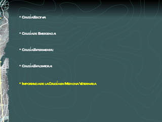Cirugía Electiva: Cirugía de Emergencia: Cirugía Experimental: Cirugía Exploratoria: Importancia de la Cirugía en Medicina Veterinaria 