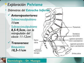 ControlControl PrenatalPrenatal
 Exploración Pelviana
• Diámetros del Estrecho Inferior
 Anteroposteriores:
Subsacrosubpubiano
11cm
Subcoccixsubpubiano
8,5-9,5cm, con la
retropulsión del
cóccix 11-12cm
 Transversos:
Biisquiatico
10,5-11cm
Semiología – Dr. Huespe
 