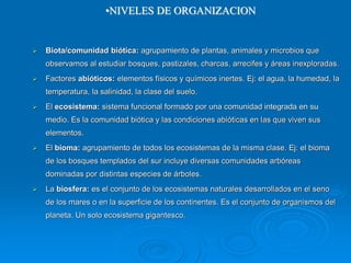  Biota/comunidad biótica: agrupamiento de plantas, animales y microbios que
observamos al estudiar bosques, pastizales, charcas, arrecifes y áreas inexploradas.
 Factores abióticos: elementos físicos y químicos inertes. Ej: el agua, la humedad, la
temperatura, la salinidad, la clase del suelo.
 El ecosistema: sistema funcional formado por una comunidad integrada en su
medio. Es la comunidad biótica y las condiciones abióticas en las que viven sus
elementos.
 El bioma: agrupamiento de todos los ecosistemas de la misma clase. Ej: el bioma
de los bosques templados del sur incluye diversas comunidades arbóreas
dominadas por distintas especies de árboles.
 La biosfera: es el conjunto de los ecosistemas naturales desarrollados en el seno
de los mares o en la superficie de los continentes. Es el conjunto de organismos del
planeta. Un solo ecosistema gigantesco.
•NIVELES DE ORGANIZACION
 