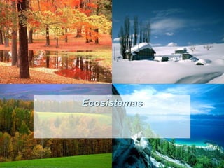 Ecosistemas
 
