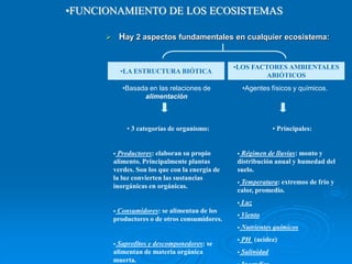  Hay 2 aspectos fundamentales en cualquier ecosistema:
•LOS FACTORES AMBIENTALES
ABIÓTICOS
•LA ESTRUCTURA BIÓTICA
• 3 categorías de organismo:
 Productores: elaboran su propio
alimento. Principalmente plantas
verdes. Son los que con la energía de
la luz convierten las sustancias
inorgánicas en orgánicas.
 Consumidores: se alimentan de los
productores o de otros consumidores.
 Saprofitos y descomponedores: se
alimentan de materia orgánica
muerta.
•Basada en las relaciones de
alimentación
• Principales:
 Régimen de lluvias: monto y
distribución anual y humedad del
suelo.
 Temperatura: extremos de frio y
calor, promedio.
 Luz
 Viento
 Nutrientes químicos
 PH (acidez)
 Salinidad
•Agentes físicos y químicos.
•FUNCIONAMIENTO DE LOS ECOSISTEMAS
 