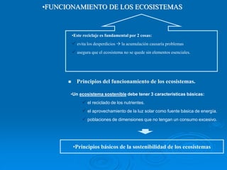 •Este reciclaje es fundamental por 2 cosas:
 evita los desperdicios  la acumulación causaría problemas
 asegura que el ecosistema no se quede sin elementos esenciales.
 Principios del funcionamiento de los ecosistemas.
•Un ecosistema sostenible debe tener 3 características básicas:
 el reciclado de los nutrientes.
 el aprovechamiento de la luz solar como fuente básica de energía.
 poblaciones de dimensiones que no tengan un consumo excesivo.
•FUNCIONAMIENTO DE LOS ECOSISTEMAS
•Principios básicos de la sostenibilidad de los ecosistemas
 