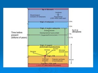 INTRODUCCION a la diversidad Microbiana parte 1