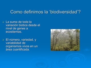 Como definimos la ‘biodiversidad’?
 La suma de toda la
variación biotica desde el
nivel de genes a
ecositemas.
 El número, variedad, y
variabilidad de
organismos vivos en un
área cuantificada.
 