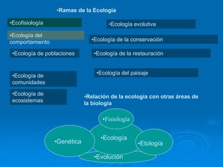•Ramas de la Ecología
•Ecofisiología
•Ecología de poblaciones
•Ecología de
comunidades
•Ecología de
ecosistemas
•Ecología del paisaje
•Ecología de la conservación
•Ecología evolutiva
•Relación de la ecología con otras áreas de
la biología
•Fisiología
•Etología
•Genética
•Evolución
•Ecología
•Ecología del
comportamiento
•Ecología de la restauración
 