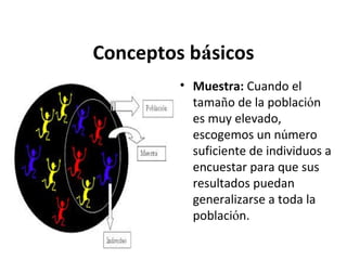 Conceptos básicos
• Muestra: Cuando el
tamaño de la población
es muy elevado,
escogemos un número
suficiente de individuos a
encuestar para que sus
resultados puedan
generalizarse a toda la
población.

 