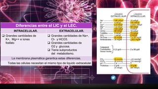 introduccion a la fisiologia actuliazada | PPTX