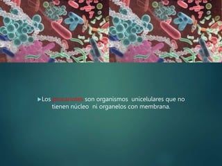Procariotes
Los procariotes son organismos unicelulares que no
tienen núcleo ni organelos con membrana.
 