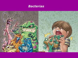 Bacterias
 