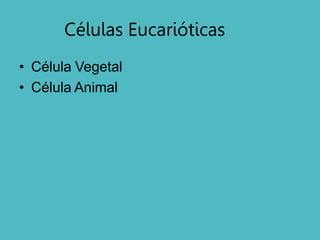 Células Eucarióticas
• Célula Vegetal
• Célula Animal
 