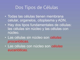Dos Tipos de Células
• Todas las células tienen membrana
celular, organelos, citoplasma y ADN.
• Hay dos tipos fundamentales de células:
las células sin núcleo y las células con
núcleo.
• Las células sin núcleo son células
procarióticas.
• Las células con núcleo son células
eucarióticas.
 