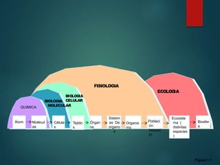 Figure 1-1
BIOLOGIA
CELULAR
Átom
os
Molécul
as
Célula
s
Tejido
s
Órgan
os
Sistem
as De
órgano
s
Organis
mo
Poblaci
ón
(especi
e)
Ecosiste
ma (
distintas
especies
)
Biosfer
a
QUIMICA
BIOLOGIA
MOLECULAR
FISIOLOGIA
ECOLOGIA
 
