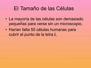 El Tamaño de las Células
• La mayoría de las células son demasiado
pequeñas para verse sin un microscopio.
• Harían falta 50 células humanas para
cubrir el punto de la letra i.
 