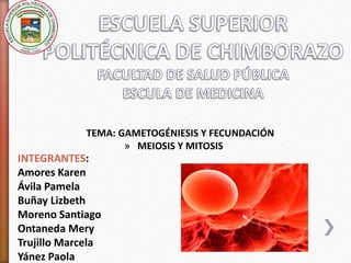 » 
TEMA: GAMETOGÉNIESIS Y FECUNDACIÓN 
» MEIOSIS Y MITOSIS 
INTEGRANTES: 
Amores Karen 
Ávila Pamela 
Buñay Lizbeth 
Moreno Santiago 
Ontaneda Mery 
Trujillo Marcela 
Yánez Paola 
 