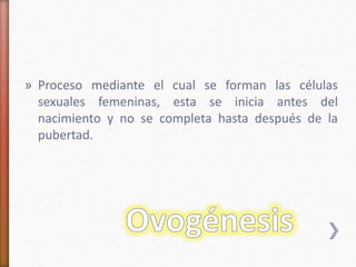 » Proceso mediante el cual se forman las células 
sexuales femeninas, esta se inicia antes del 
nacimiento y no se completa hasta después de la 
pubertad. 
 