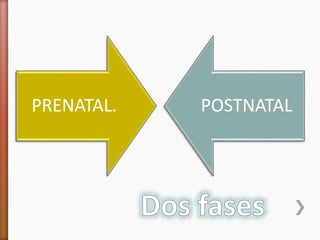 PRENATAL. POSTNATAL 
 