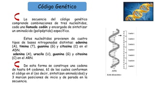 Introduccion a la genetica y herencial.pptx