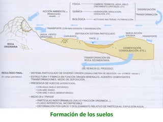 Formación de los suelos
 