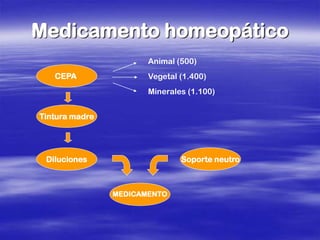 Medicamento homeopático
                       Animal (500)
   CEPA                Vegetal (1.400)
                       Minerales (1.100)


Tintura madre




 Diluciones                    Soporte neutro



                MEDICAMENTO
 