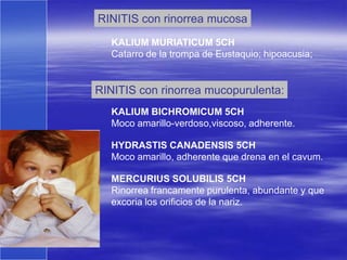 RINITIS con rinorrea mucosa
   KALIUM MURIATICUM 5CH
   Catarro de la trompa de Eustaquio; hipoacusia;


RINITIS con rinorrea mucopurulenta:
   KALIUM BICHROMICUM 5CH
   Moco amarillo-verdoso,viscoso, adherente.

   HYDRASTIS CANADENSIS 5CH
   Moco amarillo, adherente que drena en el cavum.

   MERCURIUS SOLUBILIS 5CH
   Rinorrea francamente purulenta, abundante y que
   excoria los orificios de la nariz.
 