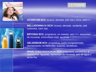LA FIEBRE



ACONITUM 9CH: brusca, elevada, piel roja y seca, sed+++

BELLADONNA 9-15CH: brusca, elevada, oscilante, piel
sudorosa, cara roja.

BRYONIA 9CH: progresiva, en meseta, sed +++, sequedad
de mucosas, inmovilidad total, agujetas.

GELSEMIUM 9CH: progresiva, rostro congestionado,
atontamiento, no tiene sed, sudores, temblores.

RHUS TOXICODENDRON 9CH: progresiva, escalofríos al
destaparse, agujetas, necesidad de moverse, sed de agua o
leche fría.
 