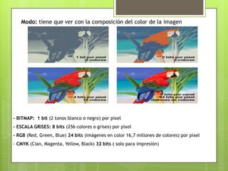 Introduccion a la imagen digital | PPTX