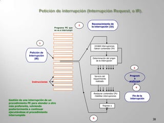 Se caracteriza por guardar aquellos datos e instrucciones que son usados con frecuencia por la CPU, en un determinado proceso de datos. 