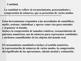 Cantidad.  Estas herramientas responden a las necesidades de cuantificar,  medir, ordenar, simbolizar y operar como v ías para entender y organizar el mundo.  Incluye la comprensión de tamaños relativos, reconocimiento de  patrones numéricos, uso de números para representar cantidades  y atributos cuantificables de los objetos del mundo real. La cantidad se refiere al reconocimiento, procesamiento y comprensión de números, que se presentan de varios modos. El razonamiento cuantitativo incluye el sentido numérico, la representación de números de varios modos, la comprensión  del significado de las operaciones, cálculo mental y estimación. 