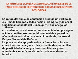 LA ROTURA DE LA PRESA DE AZNALCOLLAR: UN EJEMPLO DE FALLO GEOLOGICO-GEOTECNICO DE GRAVES CONSECUENCIAS ECOLÓGICAS La rotura del dique de contención produjo un vertido de  4,5 Hm 3  de líquidos y Iodos hacia el río Agrio, y de ahí al  Guadiamar, afluente del Guadalquivir, que anegó las tierras  circundantes, ocasionando una contaminación por aguas  ácidas con diversos contenidos en metales  pesados,  afectando a   todo el ecosistema circundante, incluso el  Parque Nacional de Doñana. La presa estaba apoyada sobre la formación   miocena conocida como margas azules,   constituidas por arcillas de plasticidad alta, muy sobreconsolidadas y con  abundantes superficies de corte o slickensides   en su  interior. 